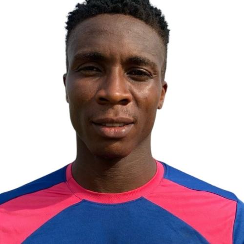 ANTHONY
                                OKOLI