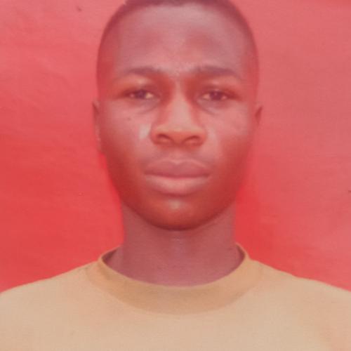 Aliu
                                Ahmed
