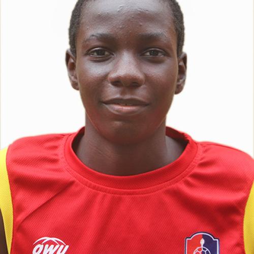 David
                                Adoche