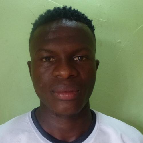 Hamza
                                Abubakar