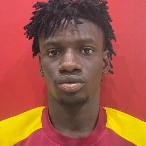IBRAHIM
                                ADENIYI