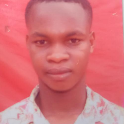 Waris
                                Sanni