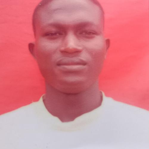 Oluwafemi
                                Aremu