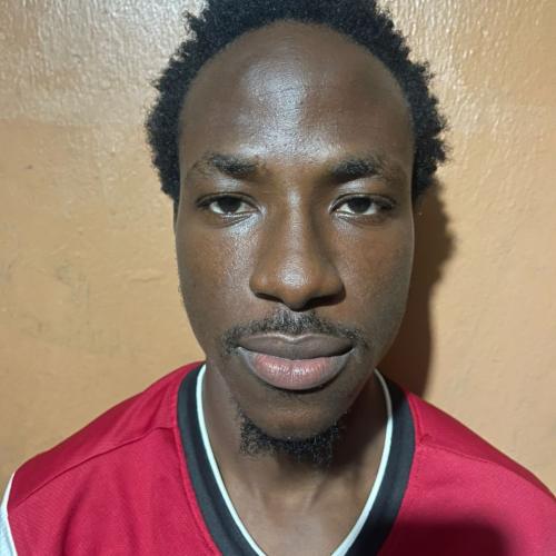 Abdulsalam
                                Sanusi