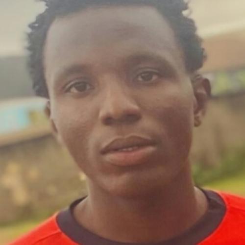 Ashaka
                                David