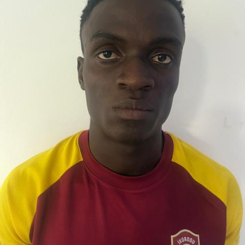 ADEWALE
                                MALIK